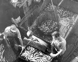 1919 - Government Regulations