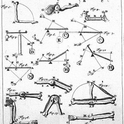 Timeline: Biomecánica
