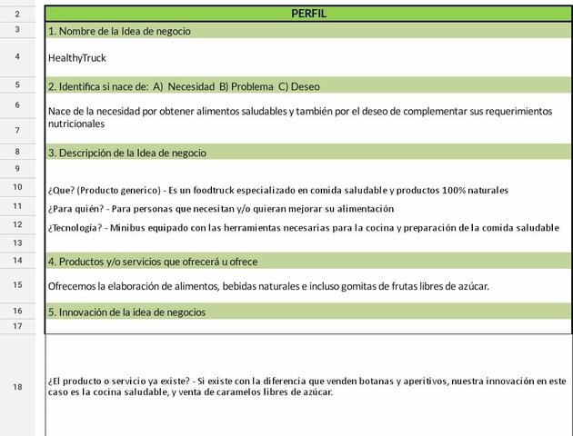 Perfil de idea de negocio