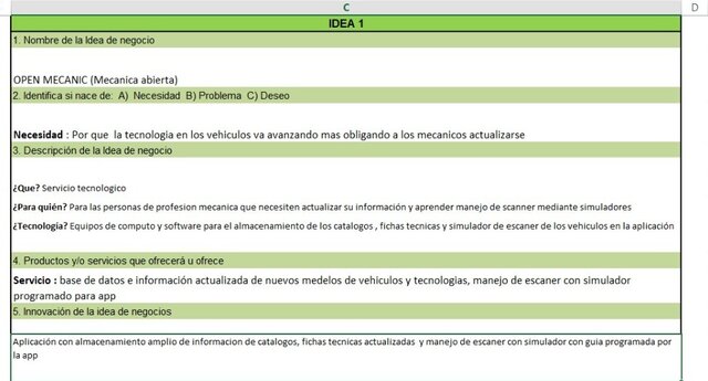 Perfil de la idea de negocios