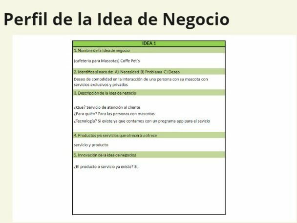 Perfil de idea de negocio