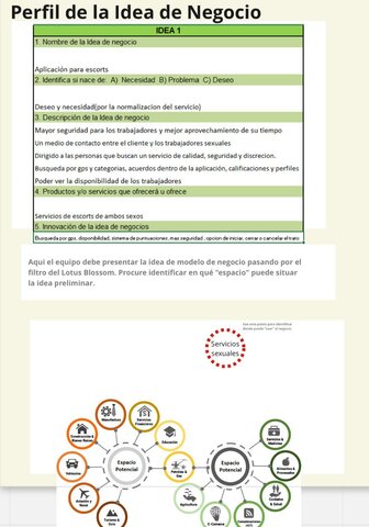 Perfil de idea de negocio