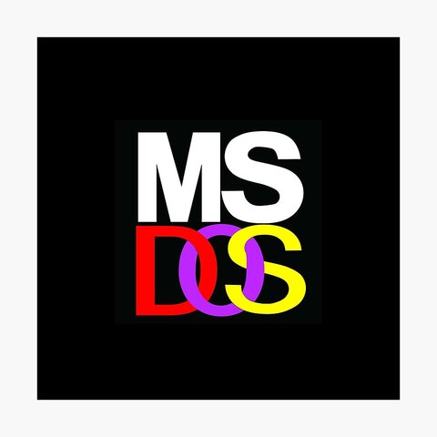 MS DOS