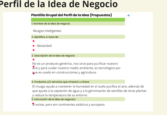 Perfil de la idea de Negocio