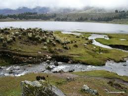 Recorrido a través de la Mucuy