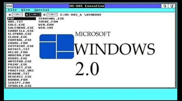 Windows 2.0