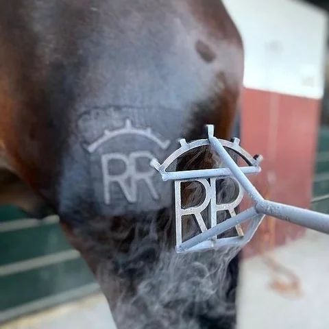 Revolución Industrial ( Surgimiento de la Marca)