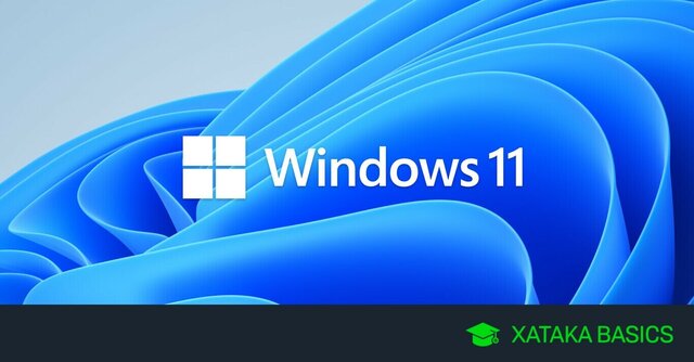 Windows 11