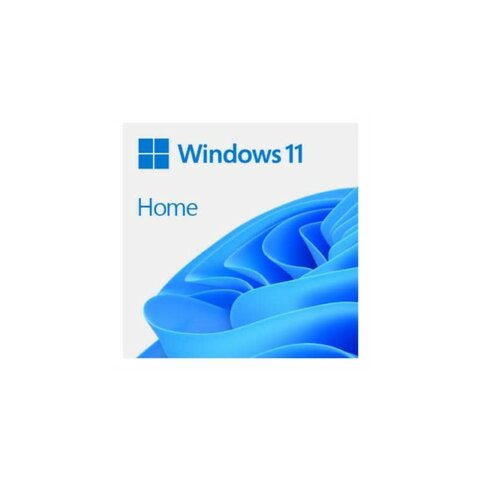 Windows 11