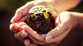 Timeline: Cumbres y Conferencias Internacionales Sobre el Ambiente