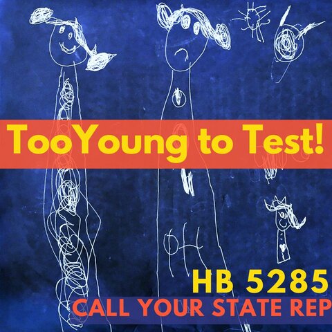 ISBE announces NO CHANGE being made to assessment reqs