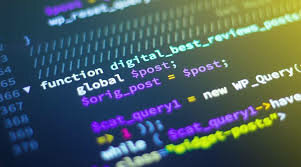 Primeros avances del software