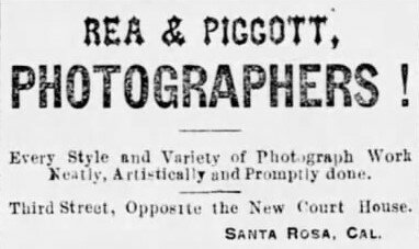 J. K. Piggott partners with T. L. Rea