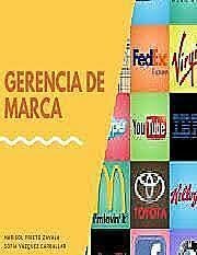 Modelo de marca de gerencia competitiva