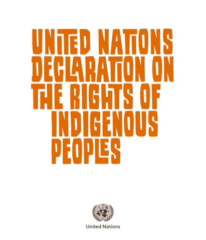 Declaration of Rights of Indigenous Peoples