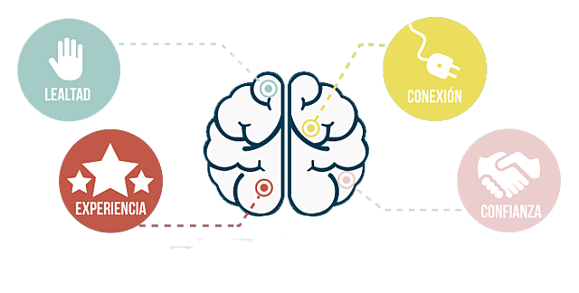 1980 Comienza a usarse la palabra “marca”