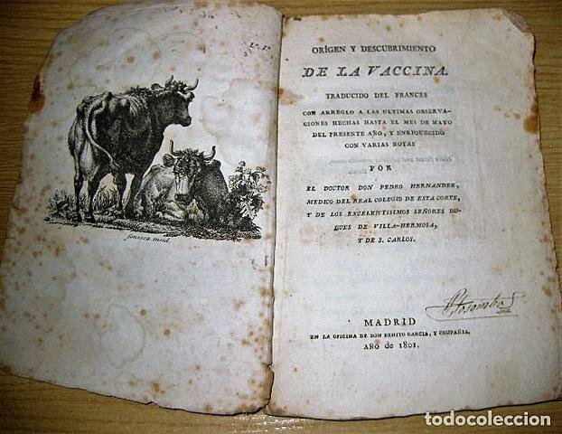 ORIGEN DE LAS MARCAS