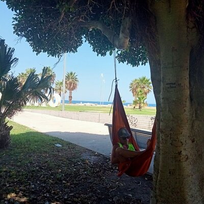 Timeline: Di Zito Francesco