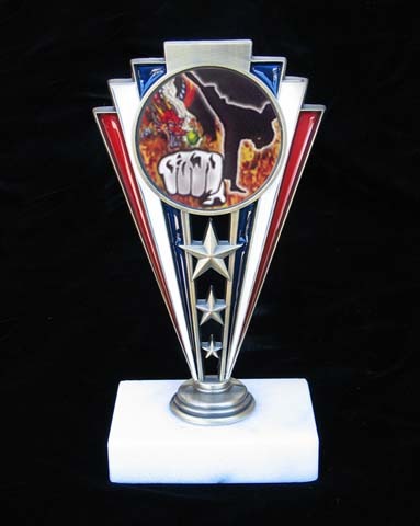 First Karate Tournament Win