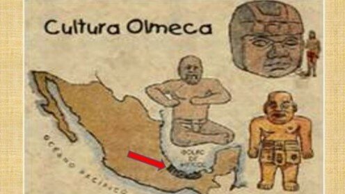 Olmecas: Rol del estudiante y el docente, concepción del aprendizaje.