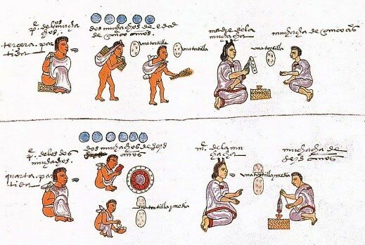 Los estudiantes del Calmécac