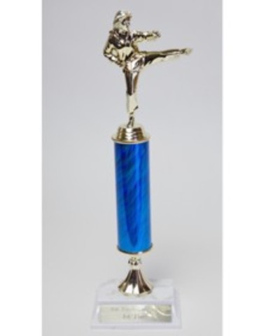 Won 2nd Karate Tournament