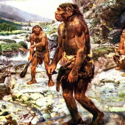 Timeline: DE ANIMALES A DIOSES  : Isabella Calle Orjuela , Manuela Aguirre Zapata 11-5