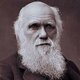 Charles darwin
