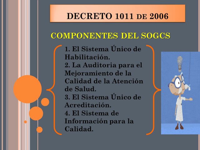 DECRETO 1011 DE 2006