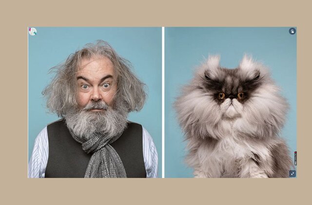 Le test (description physique)