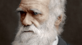 Timeline: Timeline 1 - Charles Darwin