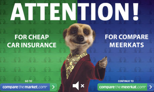 Advertisers Accept the Medium