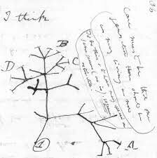 On the Origin of Species (24 November 1859)