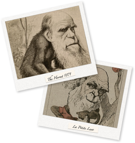 The Descent of Man (24 February 1871)