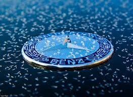 Evolución de la gerencia de marca en la antigüedad