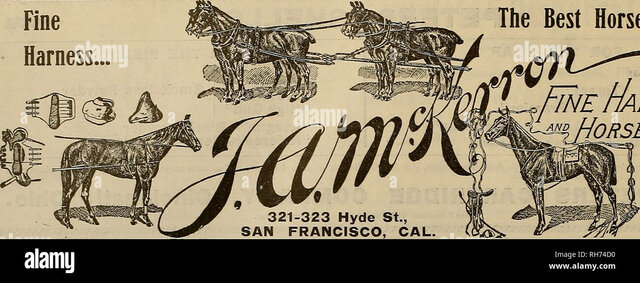 Evolución de la gerencia de marca