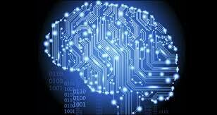 Proyecto cerebro humano