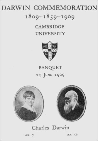 Scholastic Endeavors