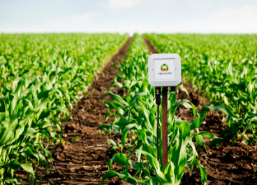 Fertilizantes inteligentes