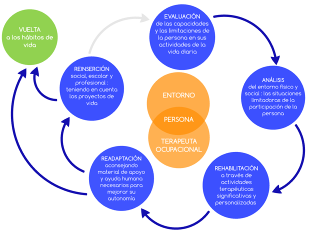 Enfoque ocupacional del gerente de marca