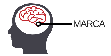 LA MARCA OCUPA UN LUGAR EN EL CONSUMIDOR