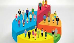 Segmentación de Mercado.