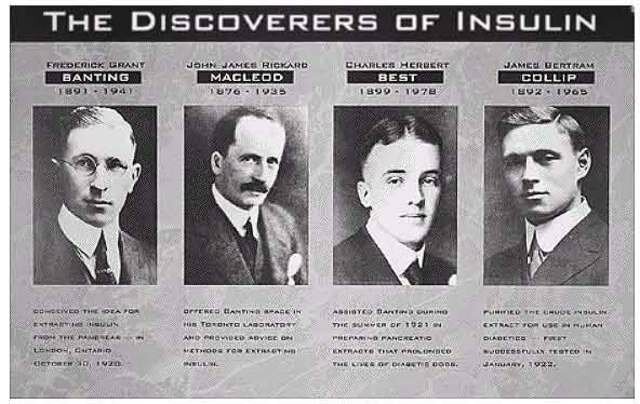 The Discovery of Insulin +2