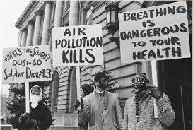 ⭐ Second Wave of Environmentalism