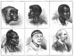 Social Darwinism