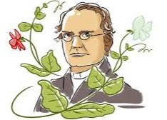 Gregor Mendel