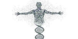 Proyecto del genoma humano