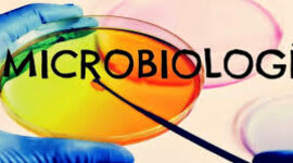 Timeline: HISTORIA DE LA MICROBIOLOGIA