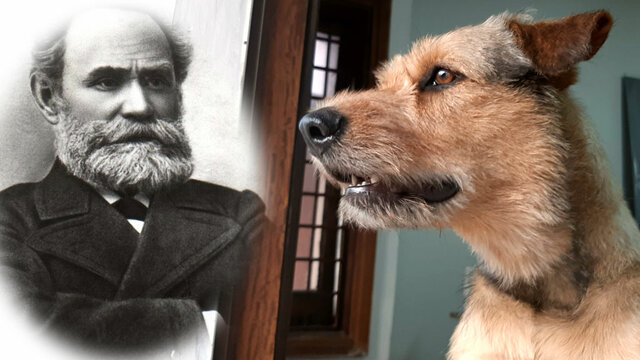 Iván Pavlov (1849-1936)