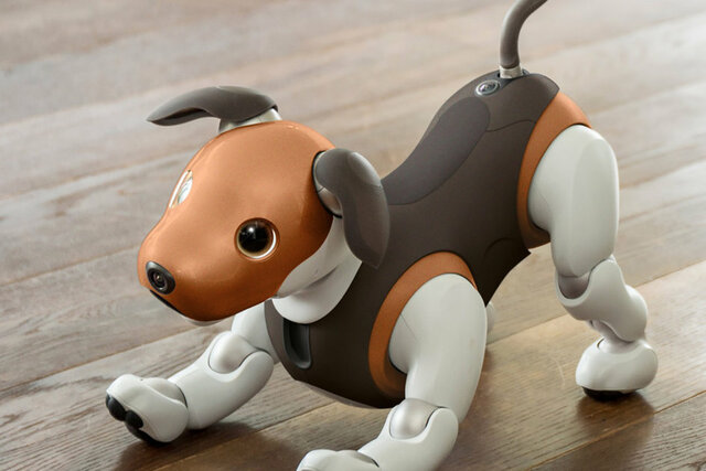 Aibo